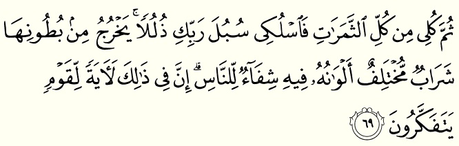 Surah an-nahl ayat-69